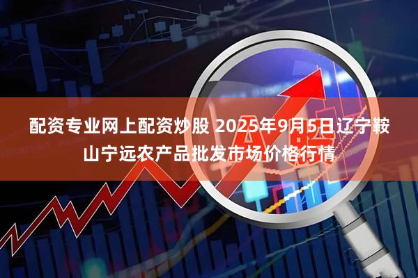 配资专业网上配资炒股 2025年9月5日辽宁鞍山宁远农产品批发市场价格行情